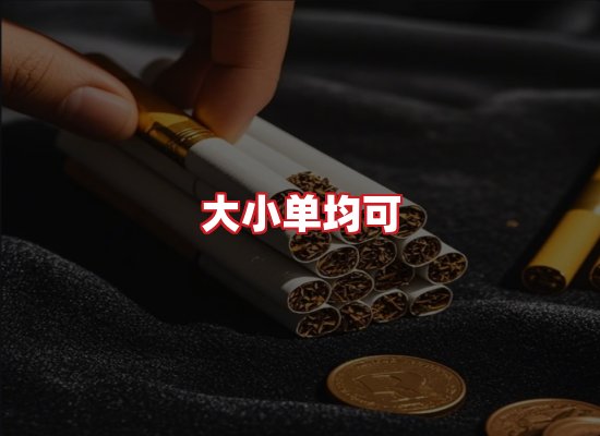 专业团队